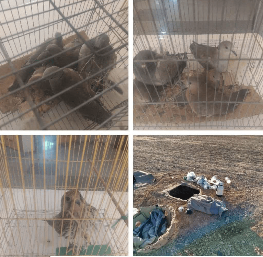 کوخههای پرندگان شکاری در شهرضا یکی پس از دیگری تخریب میشود