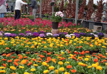 نام «باغ ریحان»؛ بازتاب فرهنگ و سلامت در بازار جدید اصفهان