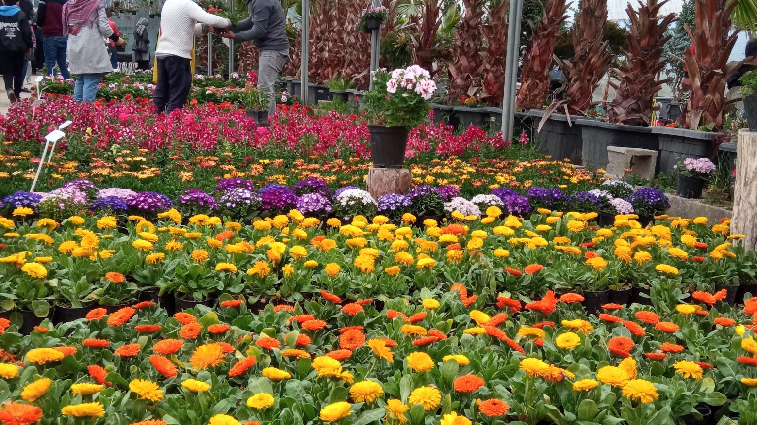 نام «باغ ریحان»؛ بازتاب فرهنگ و سلامت در بازار جدید اصفهان