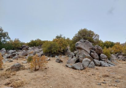 سمیرم یکی از ذخیره گاه های جنگلی بلوط در استان سمیرم یکی از ذخیره گاه های جنگلی بلوط در استان