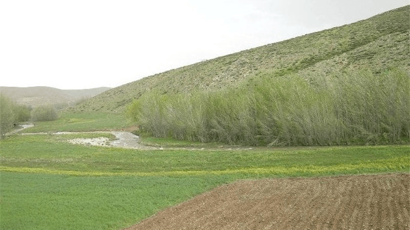 ۹۹ درصد اراضی ملی چادگان سنددار شد