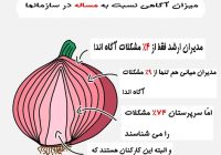 درس های «پیاز» برای اصول مدیریت!