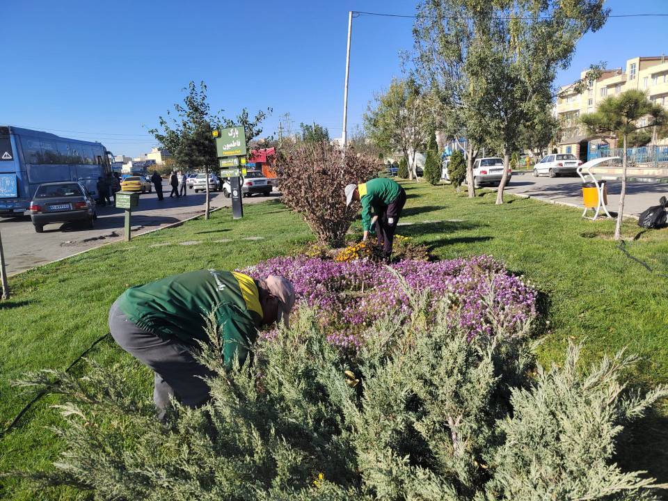 اجرای طرح‌های توسعه فضای سبز و زیباسازی معابر در منطقه ۶ اصفهان