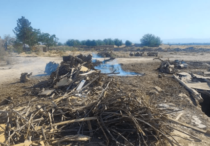 پلمب ۶ کوره غیرمجاز تولید زغال چوب در بادرود