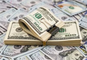 دولت هیچ برنامه ای برای کنترل قیمت ارز ندارد