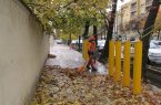 جمعآوری ۵۰ تن برگ پاییزی در منطقه ۵ اصفهان جمعآوری ۵۰ تن برگ پاییزی در منطقه ۵ اصفهان