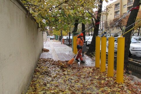 جمع‌آوری ۵۰ تن برگ پاییزی در منطقه ۵ اصفهان