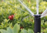 تجهیز ۱۵۰ هکتار از اراضی کاشان به سامانههای نوین آبیاری تجهیز ۱۵۰ هکتار از اراضی کاشان به سامانههای نوین آبیاری