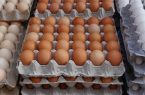 تخم مرغ کمتر از قیمت تمام شده عرضه می‌شود