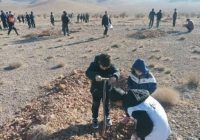 بذر و نهال کاری ۷۰۰ هکتار از اراضی ملی شهرستان نجف آباد