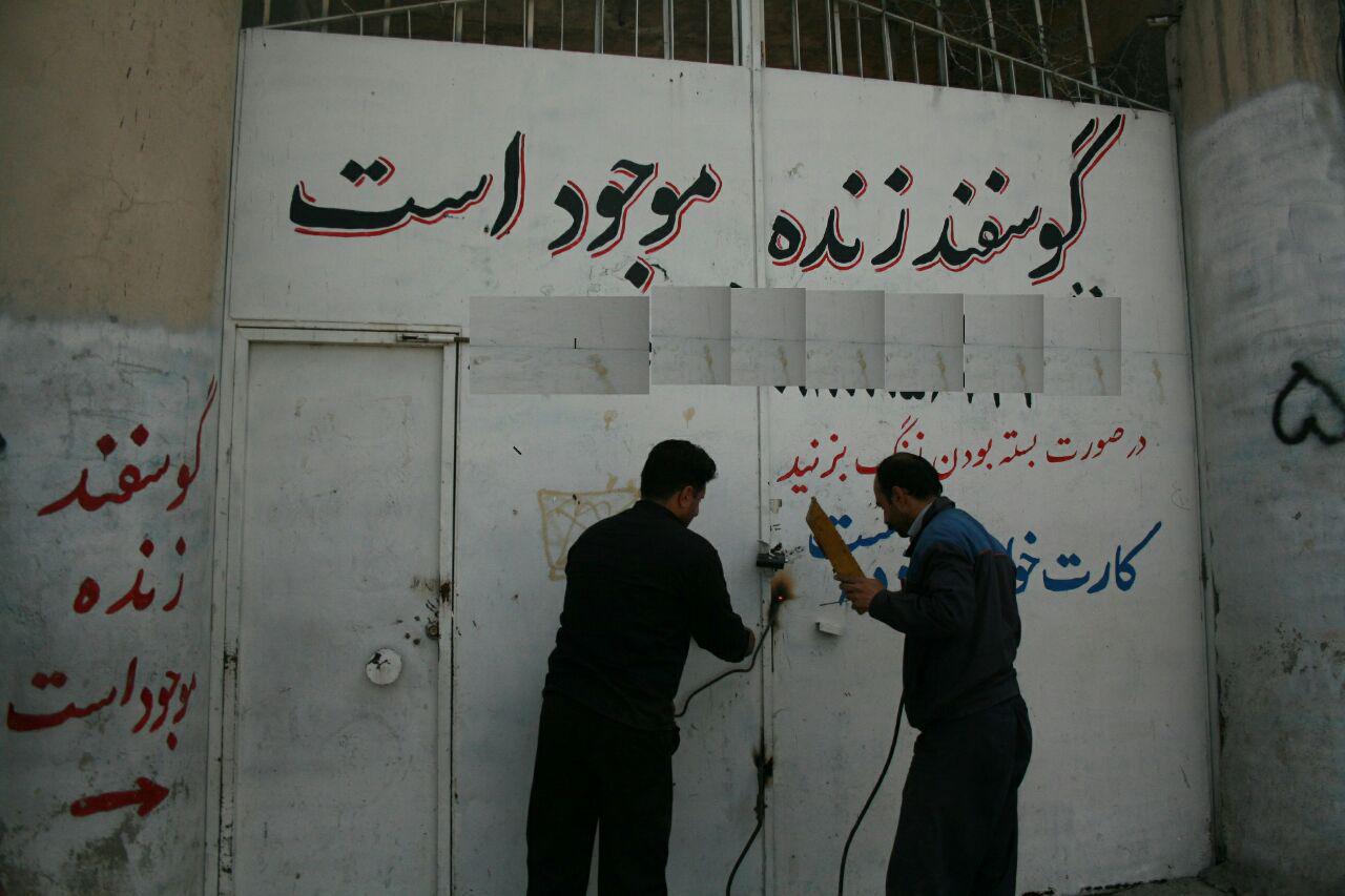 محل کشتار غیرمجاز دام در آران و بیدگل پلمب شد