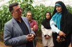 صرفهجویی ارزی پنجمیلیوندلاری با تولید بذر پایه در اصفهان صرفهجویی ارزی پنجمیلیوندلاری با تولید بذر پایه در اصفهان