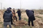 کاشت پنجهزار نهال و آغاز نهضت درختکاری شهر بهارستان کاشت پنجهزار نهال و آغاز نهضت درختکاری شهر بهارستان
