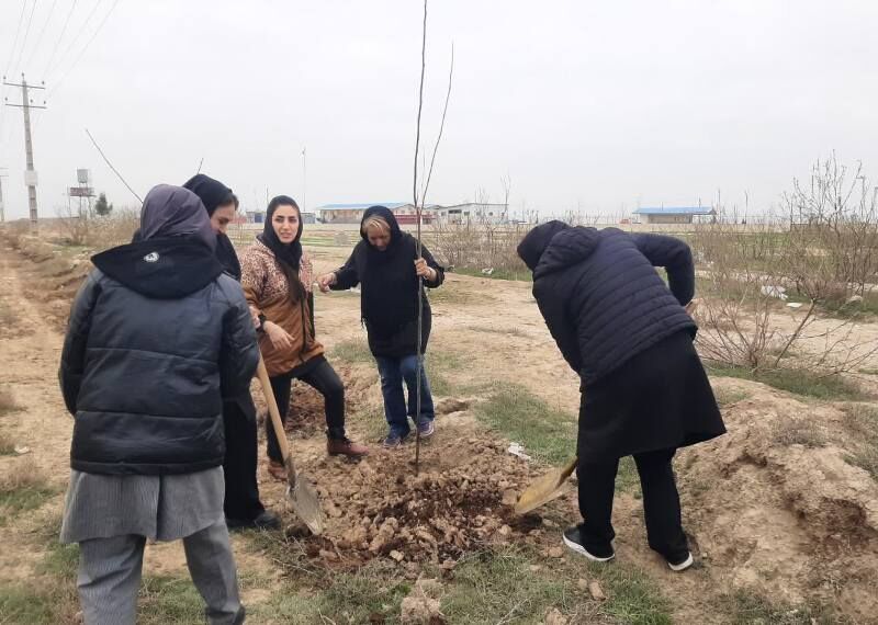 کاشت پنج‌هزار نهال و آغاز نهضت درختکاری شهر بهارستان