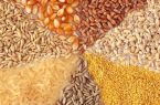 نهاده مورد نیاز مرغداران تامین شد