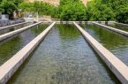 تولید نزدیک به ۱۳ هزار تن انواع ماهی خوراکی در اصفهان