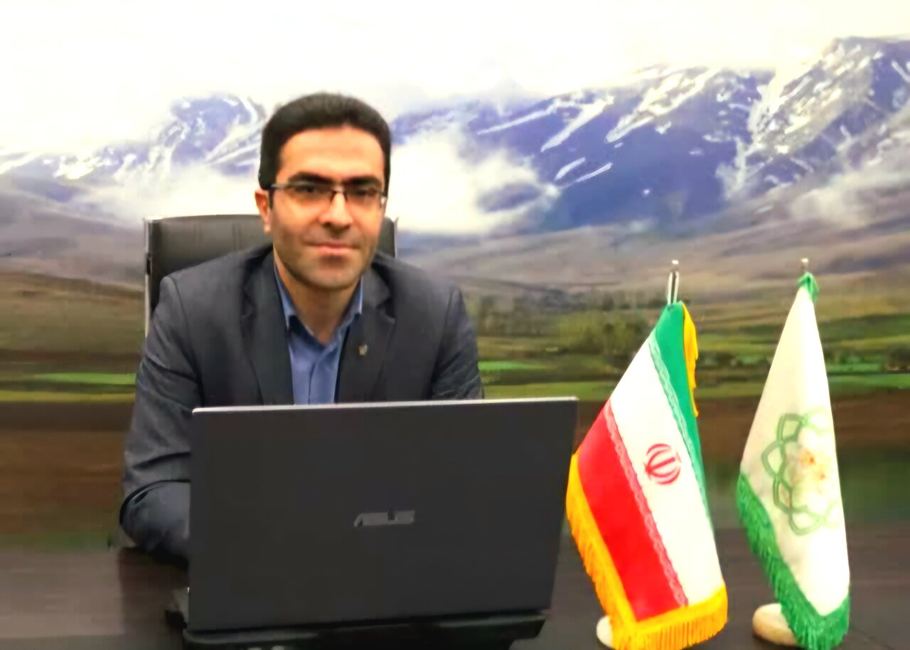 ۷۰ هزار درخت صنوبر برای حفظ میراث سبز خوانسار کاشته شد