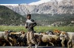 آماده‌باش کامل برای کوچ بهاره عشایر اصفهان
