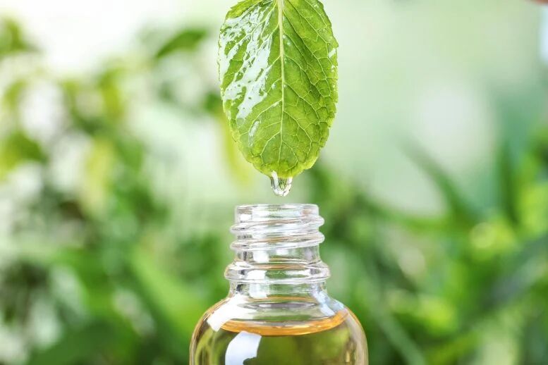 درمان طبیعی فشار خون با روغن نعنا