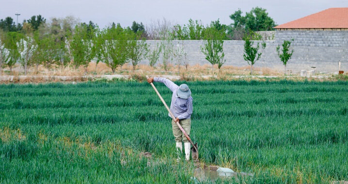 جریان ۹۰ روزه آب در زایندهرود؛ کشاورزان به سمت محصولات کمآببر بروند