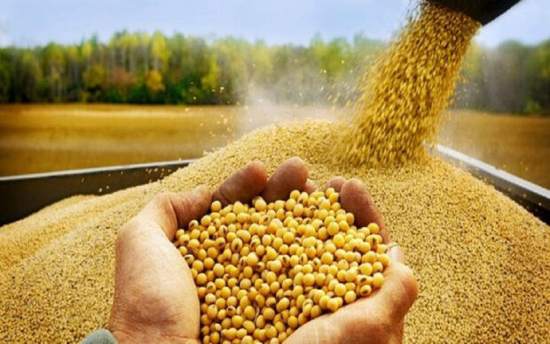 ۲ برابر شدن هزینه حمل نهاده از چابهار به اصفهان