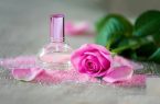 از ۴ محصول اسانس گل محمدی در پژوهشکده اسانس های طبیعی قمصر رونمایی شد