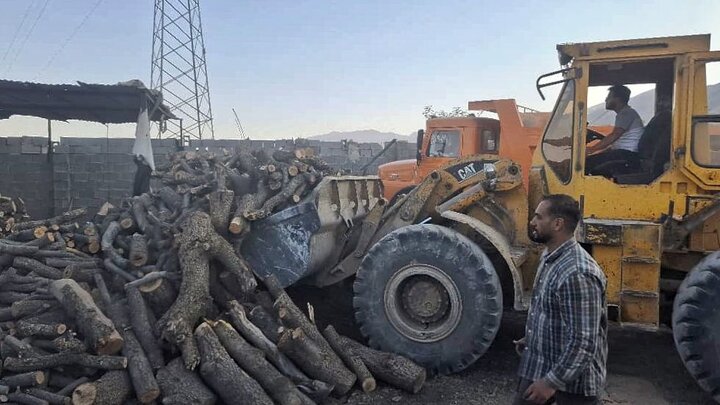کشف ۱۲ تن چوب قاچاق در برخوار