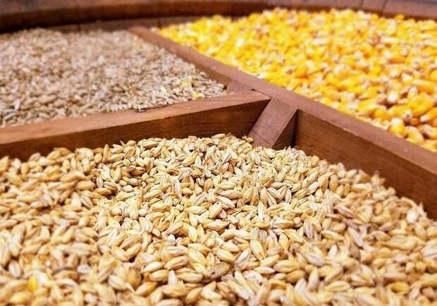 پایان ارز ترجیحی؛ قیمتگذاری کالاهای اساسی در اصفهان تغییر میکند