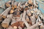 کشف ۲۳۰۰ تُن چوب تاغ در شرق اصفهان شد کشف ۲۳۰۰ تُن چوب تاغ در شرق اصفهان شد
