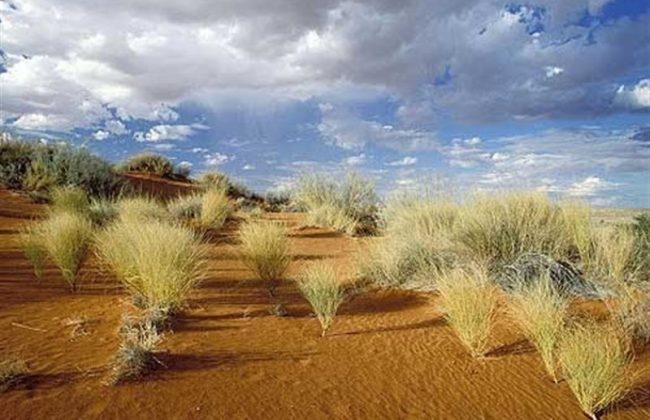 اجرای طرح بیابانزدایی در 1300 هکتار از اراضی اصفهان