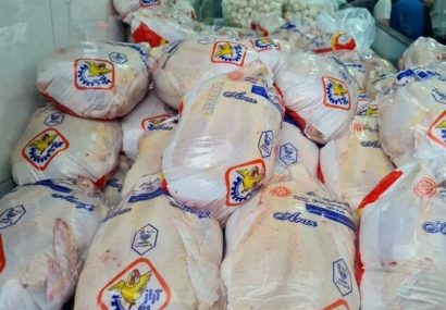 بازار مرغ اصفهان در ماه محرم با کمبود مواجه نیست