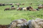 طرحهای مرتعداری حلقه اتصال حفاظت از منابع طبیعی و توسعه اقتصادی اصفهان