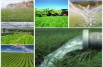 ۱۷۰ پروژه کشاورزی در استان اصفهان به بهره‌برداری می‌رسد