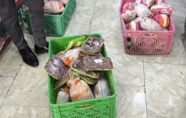 ۲۰۰ کیلوگرم مرغ تاریخ مصرف گذشته در کاشان معدوم شد