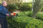 پایش اضطراری درختان «چهلستون» اصفهان برای مقابله با خطر آتشسوزی پایش اضطراری درختان «چهلستون» اصفهان برای مقابله با خطر آتشسوزی