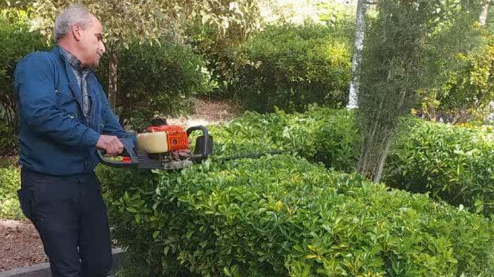 پایش اضطراری درختان «چهلستون» اصفهان برای مقابله با خطر آتش‌سوزی