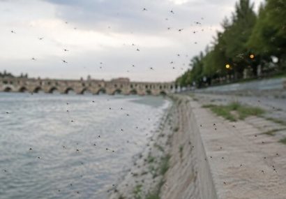 هوای اصفهان سالم است
