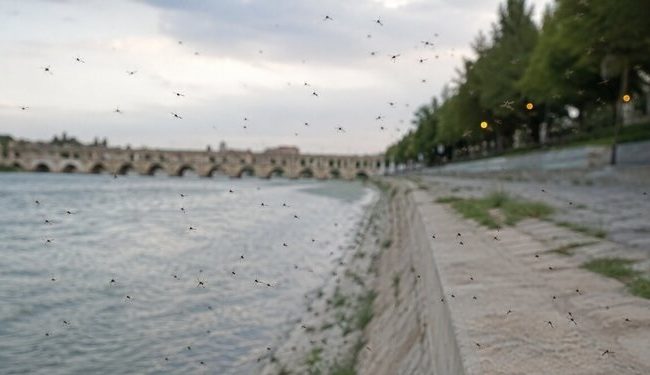 هوای اصفهان سالم است