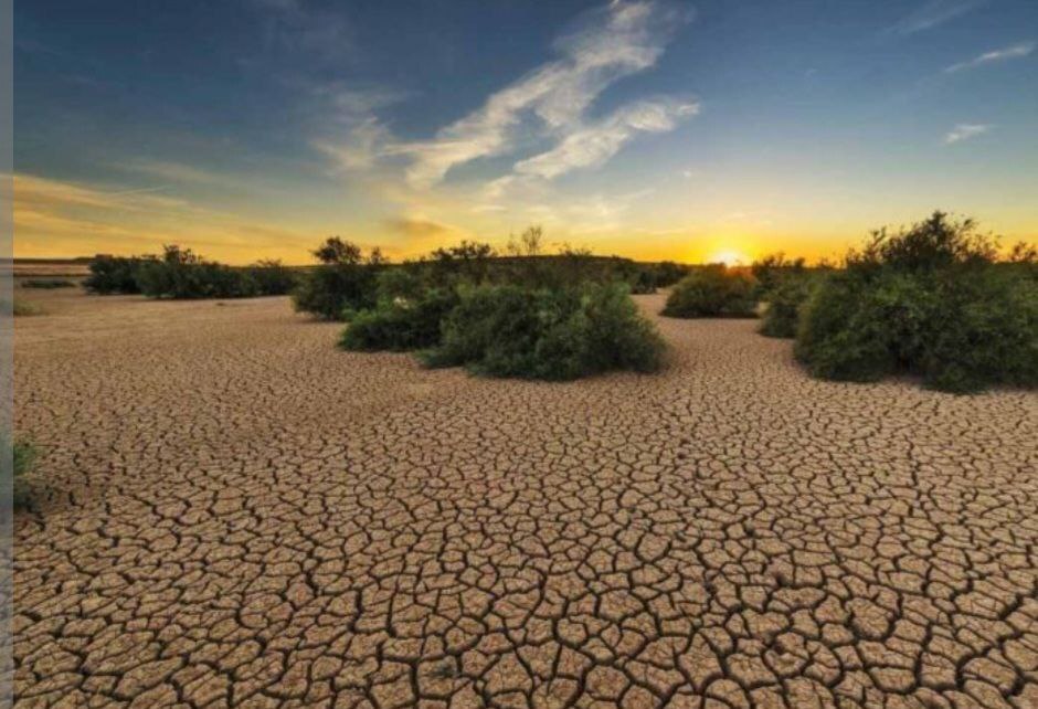 صنایع اصفهان موظف به بیابان‌زدایی۱۲۵۰هکتار اراضی بحرانی گرد و خاک شدند
