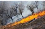 کاهش 70 درصدی حریق در عرصههای طبیعی اصفهان کاهش 70 درصدی حریق در عرصههای طبیعی اصفهان