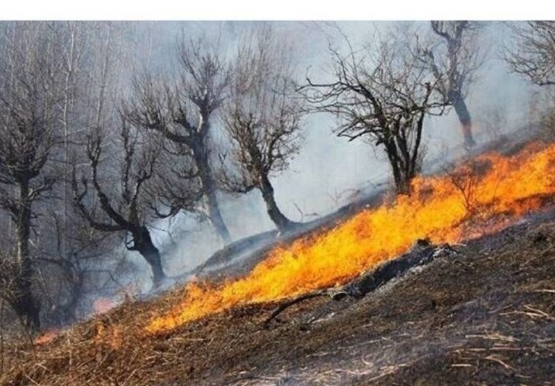 کاهش 70 درصدی حریق در عرصه‌های طبیعی اصفهان
