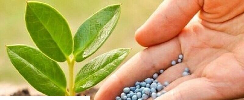 کاهش قیمت محصولات کشاورزی با پرداخت مستقیم یارانه کود به کشاورزان