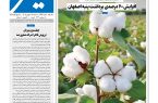 نشریه روزنامه سیمای شهر شماره 2534 سه شنبه17شهریور ۱۴۰۵
