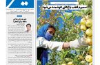 نشریه روزنامه سیمای شهر شماره 2540 چهارشنبه25شهریور ۱۴۰۵