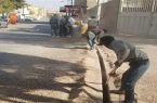 آغاز نخستین پروژه فیبر نوری مخابرات در شهر گز با همکاری شهرداری